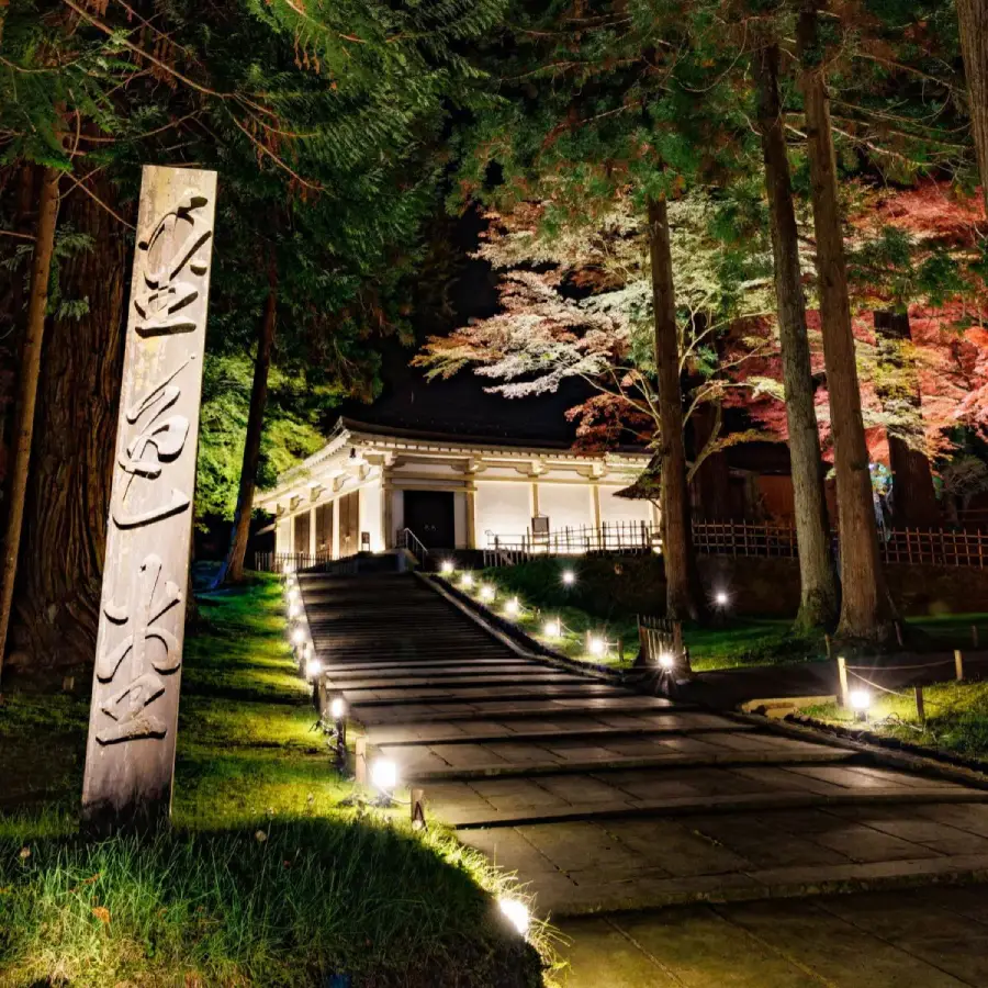 中尊寺ライトアップ